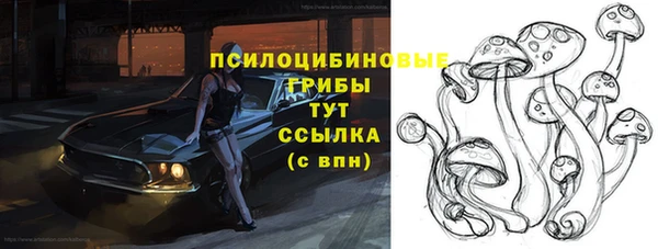 шишки Богородицк